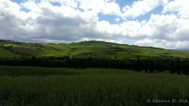 Near Bagno Vignoni