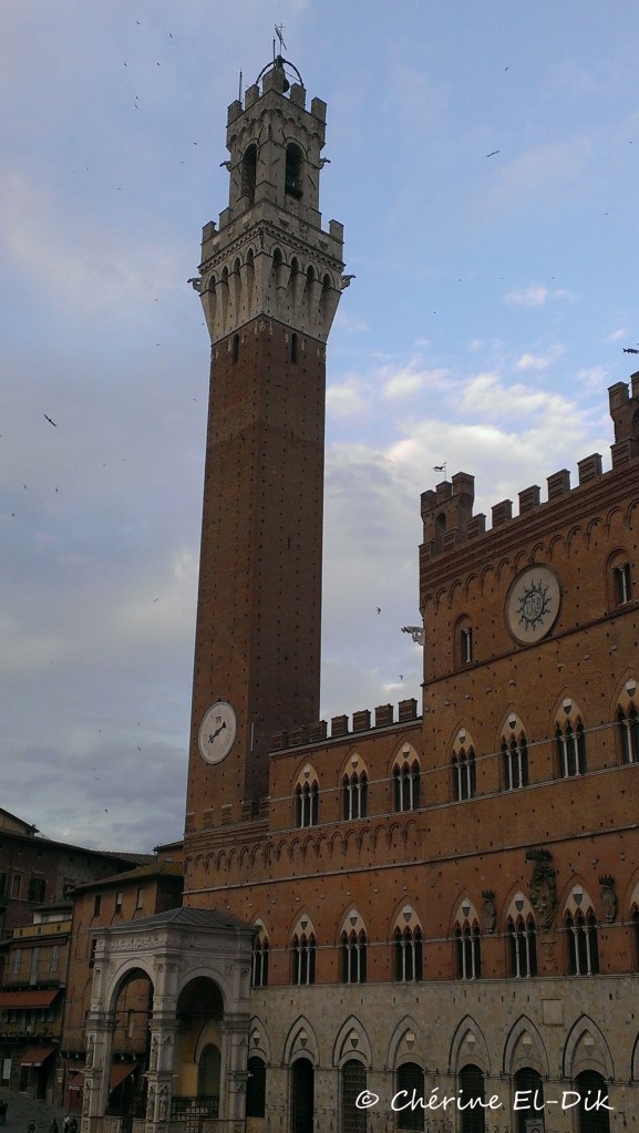 Piazza del Campo - Siena