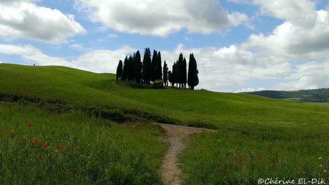 Somewhere in Tuscany