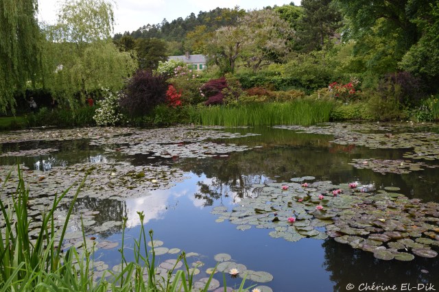 The pond at Giverny