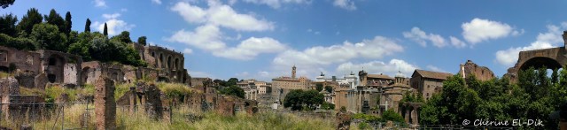 Palatine Hill 3